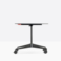 PD1 Fifth Tilting Table