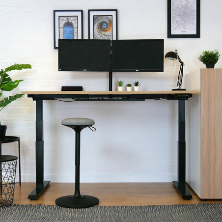 AR2 High Rising Desk Type B
