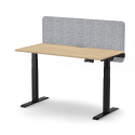 AR2 High Rising Desk Type B