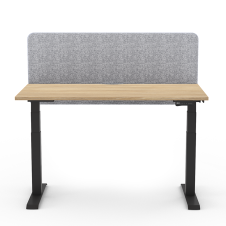 AR2 High Rising Desk Type B