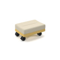 Coequal Mobile Ottoman: Stylish & Maneuverable Reception Seating