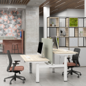 SL Ascend Double Sit-Stand Desk – Ergonomic Height Adjustment