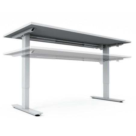 Move Exec Sit Stand
