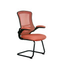 Lumen Cantilever