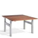 LD3 Sit Stand Dual