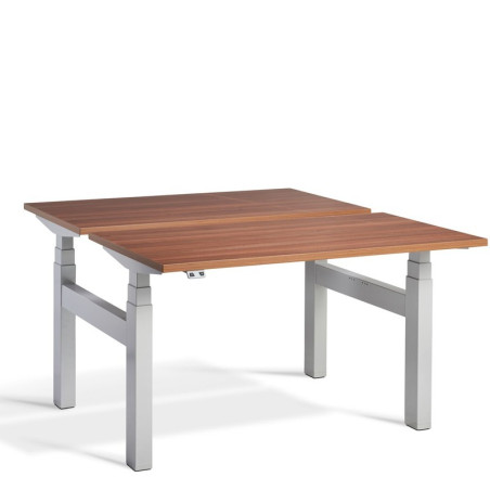 LD3 Sit Stand Dual