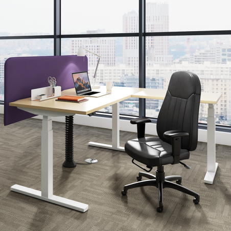 Sit Stand Executive Bundle