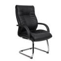 Ipswich Leather Visitors Chair