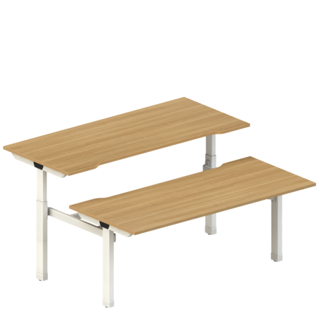 Tek Sit Stand Double Desk