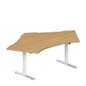 Tek Sit Stand 120 Desk