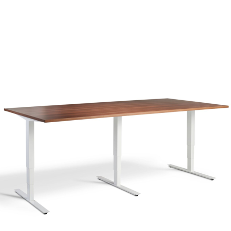 LD3 Straight Sit Stand Desk - Triple Motor, 160Kg Capacity