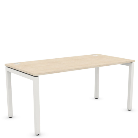 LP Patoma Straight