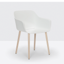 PD1 Babila XL 2754