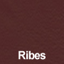 Ribes