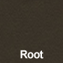 Root