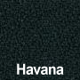 Havana